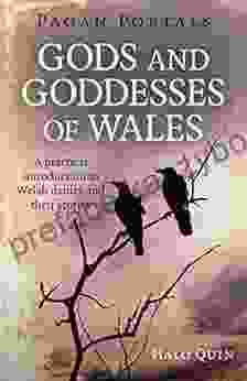 Pagan Portals Gods And Goddesses Of Wales: A Practical Introduction To Welsh Deities And Their Stories