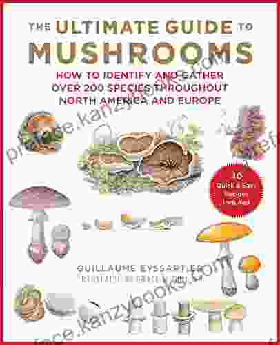 The Ultimate Guide To Mushrooms: How To Identify And Gather Over 200 Species Throughout North America And Europe