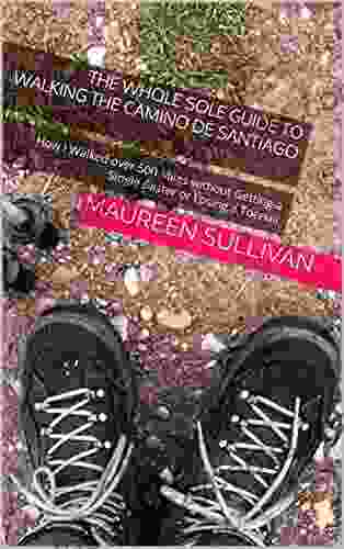 The Whole Sole Guide To Walking The Camino De Santiago: How I Walked Over 500 Miles Without Getting A Single Blister Or Losing A Toenail